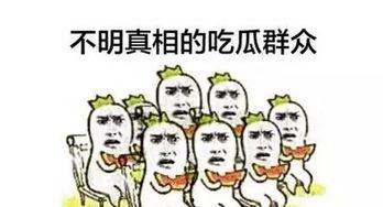 随便吃瓜谨慎发言