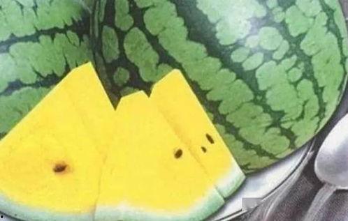 众亲吃瓜,揭秘娱乐圈幕后风云